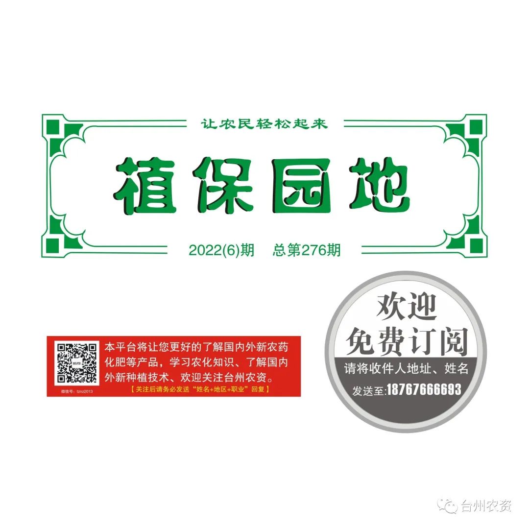 梅雨季節(jié)來臨，柑橘即將穩(wěn)果，注意管理好夏梢，合理施肥打藥